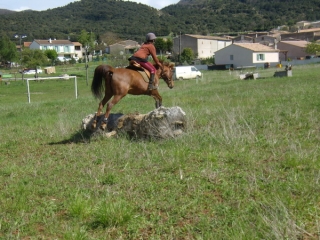  entrenamiento ecuestre en Aude 